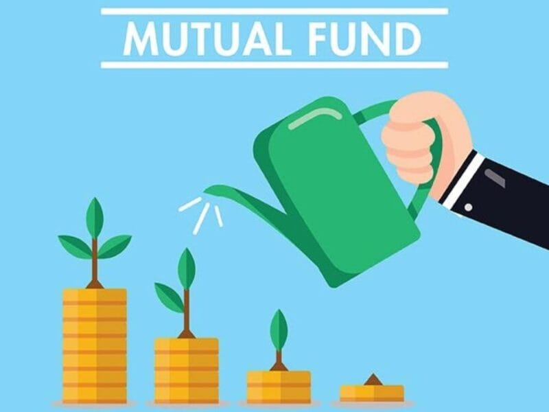 Large-Cap Mutual Funds: A Safe Bet for January Investments